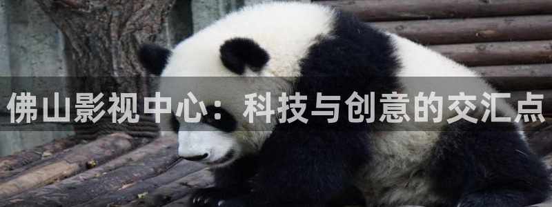 pupa动漫在线看樱花动漫