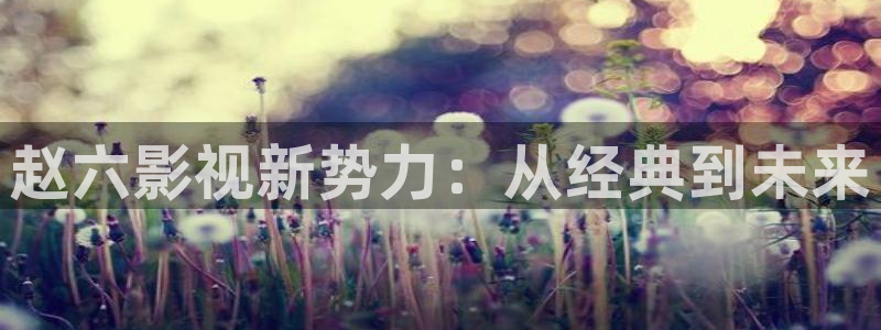樱花影院电视剧电影免费观看