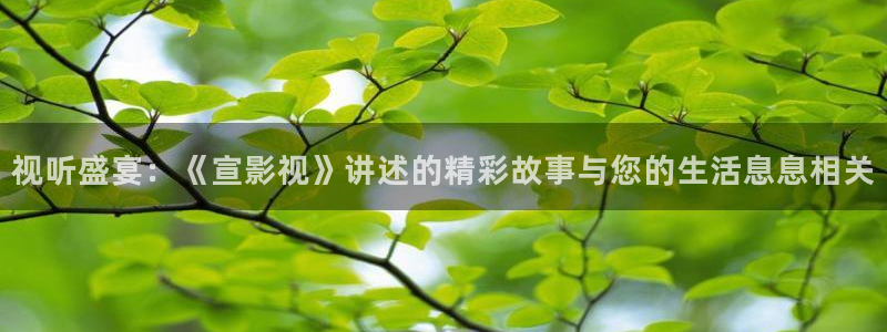 圣痕炼金士樱花视频