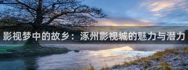 樱花绽放的视频