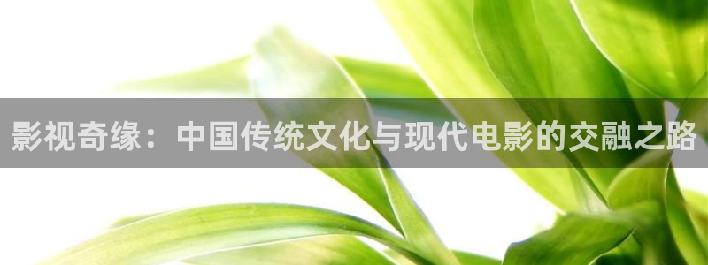 樱花动漫完整版免费观看：影视奇缘：中国传统文化与现代电影的交融之路