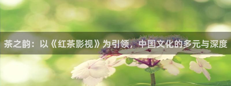 樱花app高清在线观看：茶之韵：以《红茶影视》为引领，中国文化的多元与深度