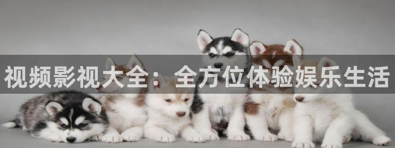 樱花校园的视频.：视频影视大全：全方位体验娱乐生活
