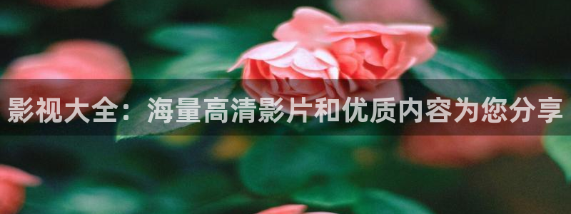 名侦探柯南免费观看樱花动漫