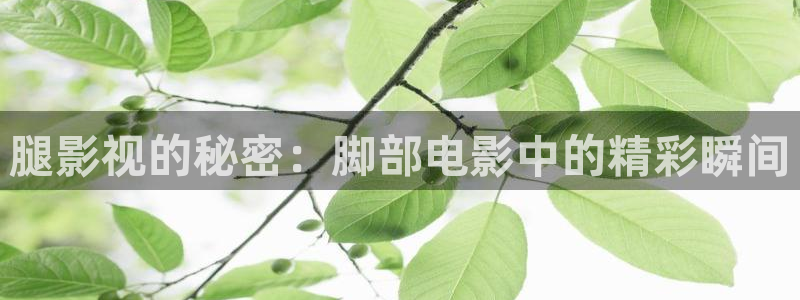 僵尸百分百樱花动漫免费观看
